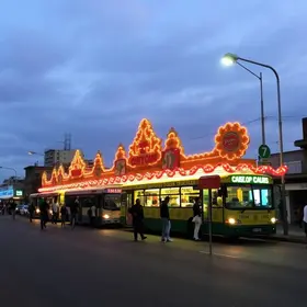 rodoviárias de carnaval