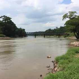 Nível do Rio Paraíba do Sul
