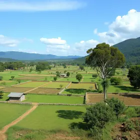Reforma Agrária