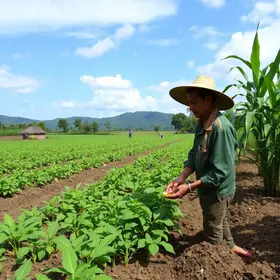 Agricultura de Campos