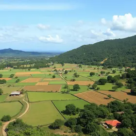 reforma agrária